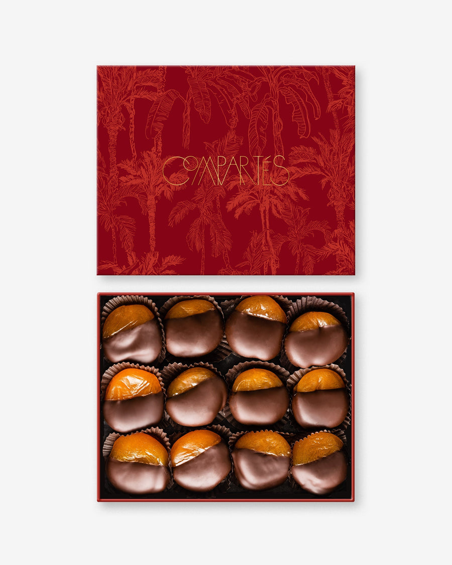 Dark Chocolate Covered Apricots Gift Box